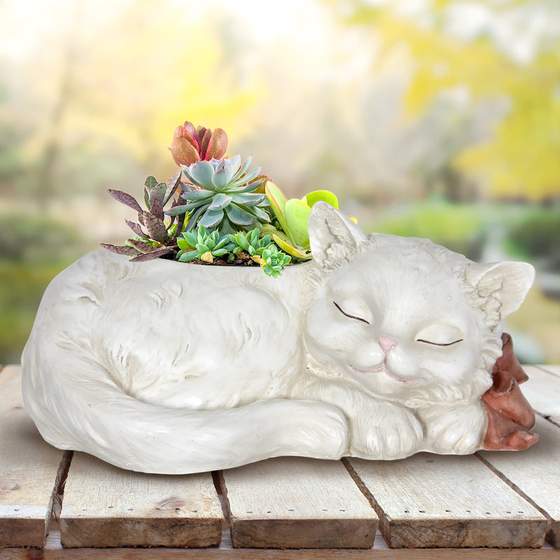GBエクステリアキャットホワイト GBエクステリアキャットホワイト CAT – GB : Pet Products
