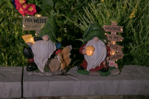 Solar Gnome with Free Weeds- Pull Your Own Sign, 8.5 by 10 Inches | Shop Garden Decor by Exhart