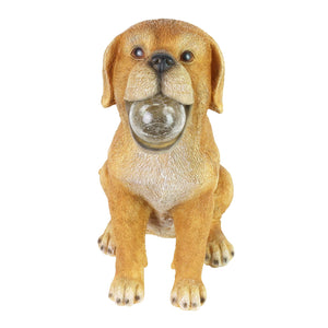 Solar Dog with LED Ball in Mouth Garden Statuary, 12 Inch tall | Shop Garden Decor by Exhart