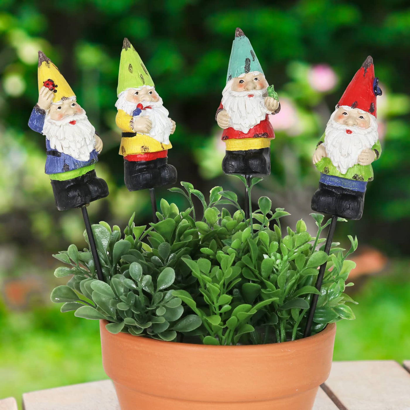 mini pothead gnomes Colorful Mini Garden Gnome Pot Stake Set of Four, 2 by 9 Inches