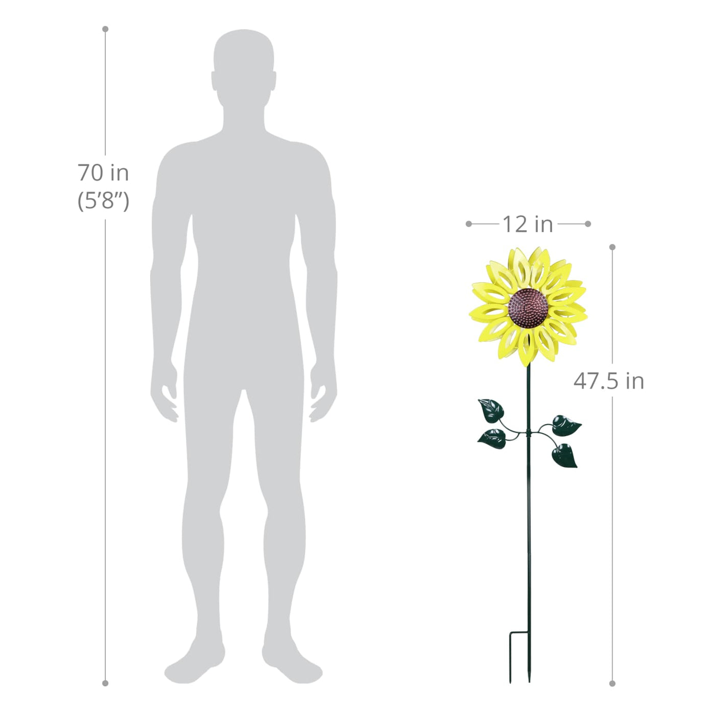 sunflower SeedPackedCollection_Sunflower