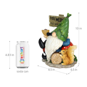 Solar Gnome with Free Weeds- Pull Your Own Sign, 8.5 by 10 Inches | Shop Garden Decor by Exhart