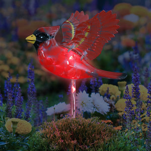 Solar WindyWing Cardinal Garden Stake with Red LED Lights, 7 Inch | Shop Garden Decor by Exhart