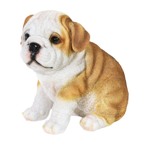 Hand Painted English Bulldog Puppy Statuary, 6 Inch | Shop Garden Decor by Exhart