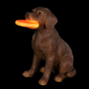 Solar Chocolate Labrador Retriever Dog with LED Frisbee Garden Statuary, 14 Inch tall | Shop Garden Decor by Exhart