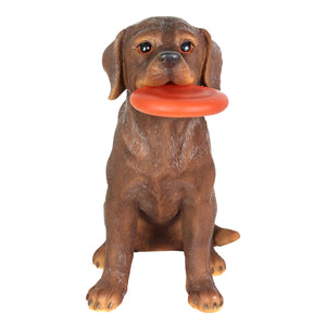Solar Chocolate Labrador Retriever Dog with LED Frisbee Garden Statuary, 14 Inch tall | Shop Garden Decor by Exhart