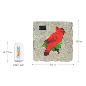 Solar Cardinal Stepping Stone, 10 Inch | Shop Garden Decor by Exhart