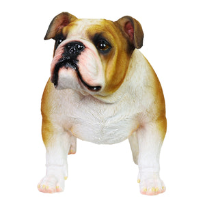 Hand Painted English Bulldog Statuary, 9.5 Inch | Shop Garden Decor by Exhart