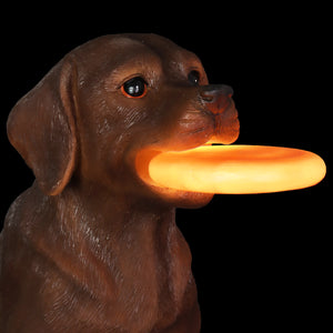 Solar Chocolate Labrador Retriever Dog with LED Frisbee Garden Statuary, 14 Inch tall | Shop Garden Decor by Exhart