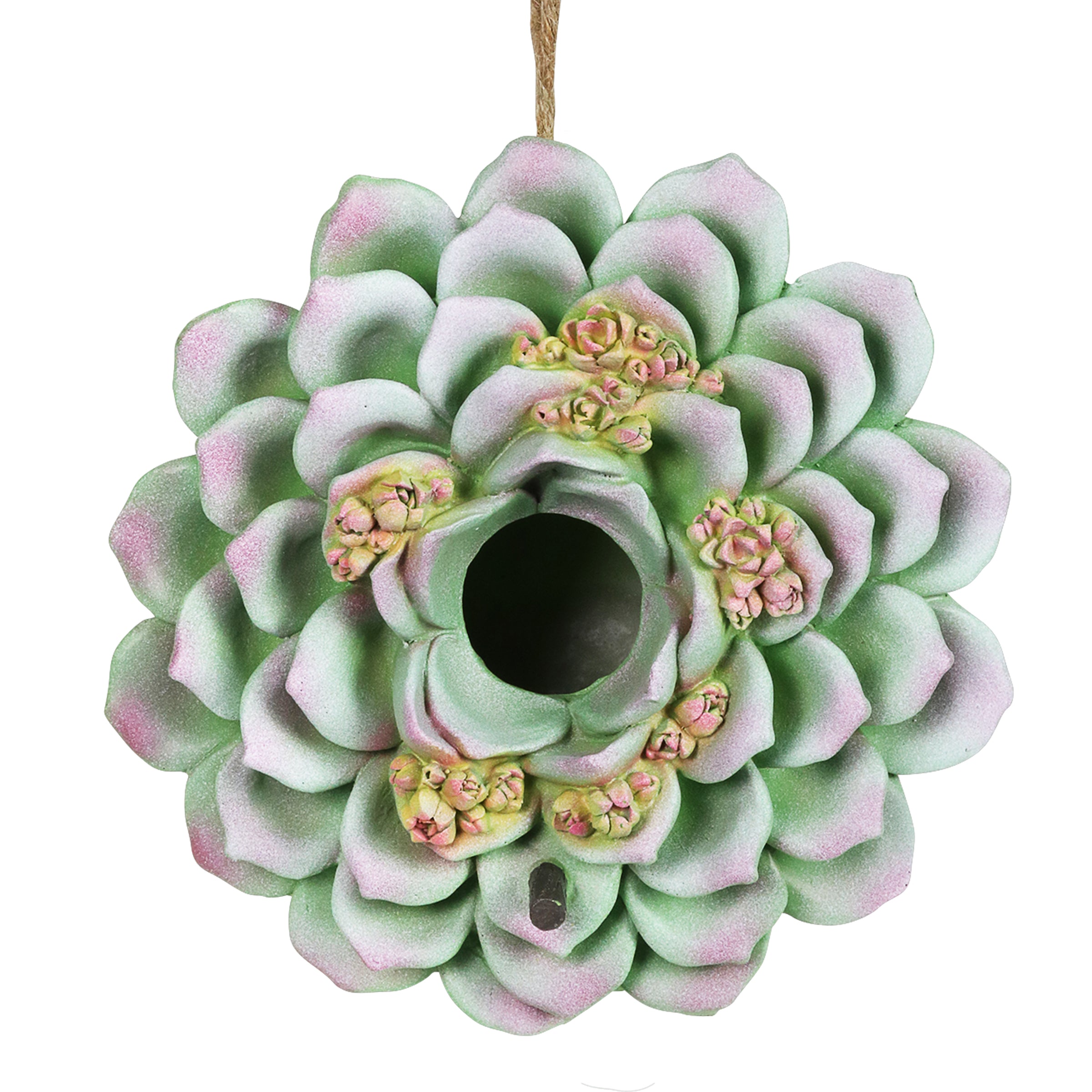 Exhart Succulent Bird House