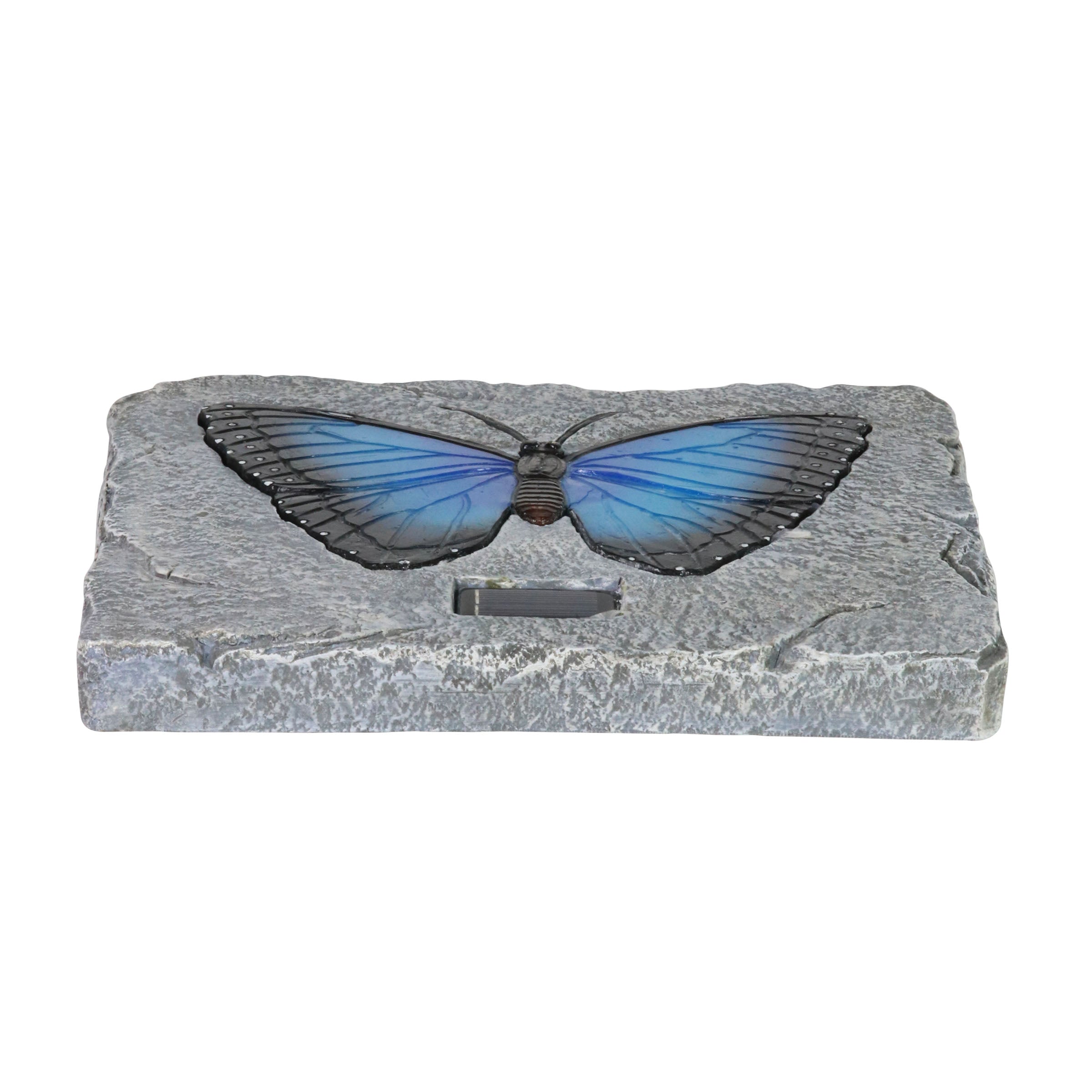 Solar Blue Butterfly Stepping Stone - Thumbnail 5