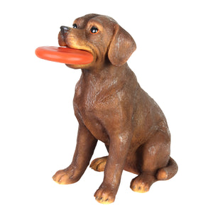 Solar Chocolate Labrador Retriever Dog with LED Frisbee Garden Statuary, 14 Inch tall | Shop Garden Decor by Exhart