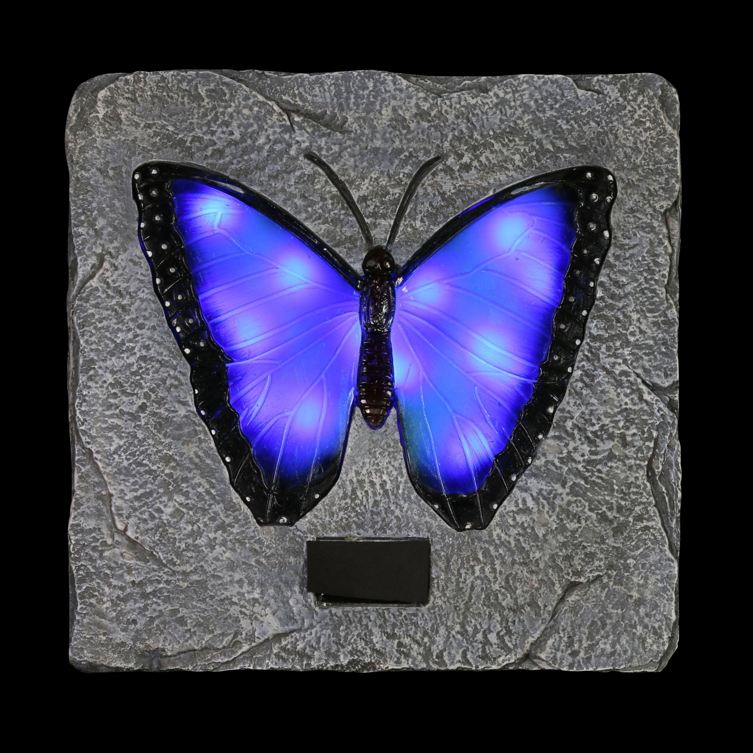 Solar Blue Butterfly Stepping Stone - Thumbnail 3