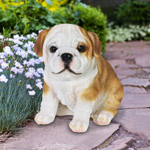 Hand Painted English Bulldog Puppy Statuary, 6 Inch | Shop Garden Decor by Exhart
