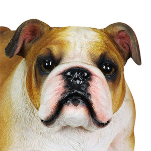 Hand Painted English Bulldog Statuary, 9.5 Inch | Shop Garden Decor by Exhart
