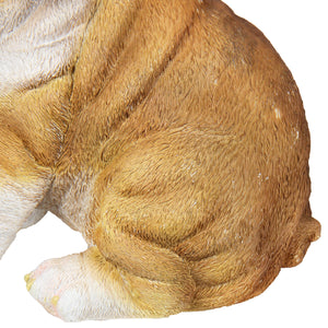 Hand Painted English Bulldog Puppy Statuary, 6 Inch | Shop Garden Decor by Exhart