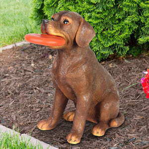 Solar Chocolate Labrador Retriever Dog with LED Frisbee Garden Statuary, 14 Inch tall | Shop Garden Decor by Exhart