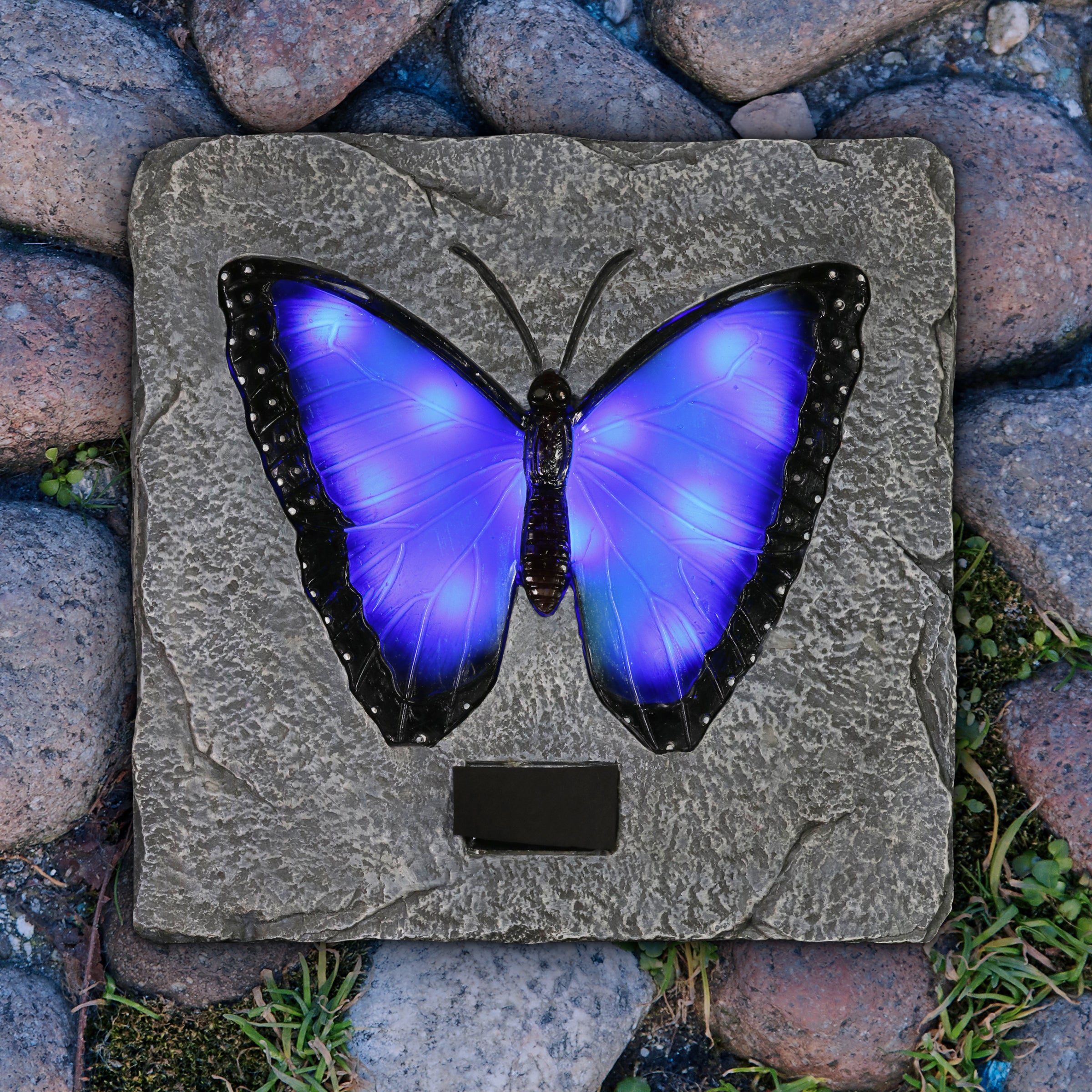 Solar Blue Butterfly Stepping Stone - Thumbnail 2