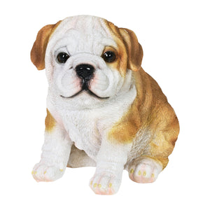 Hand Painted English Bulldog Puppy Statuary, 6 Inch | Shop Garden Decor by Exhart