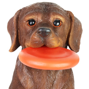 Solar Chocolate Labrador Retriever Dog with LED Frisbee Garden Statuary, 14 Inch tall | Shop Garden Decor by Exhart