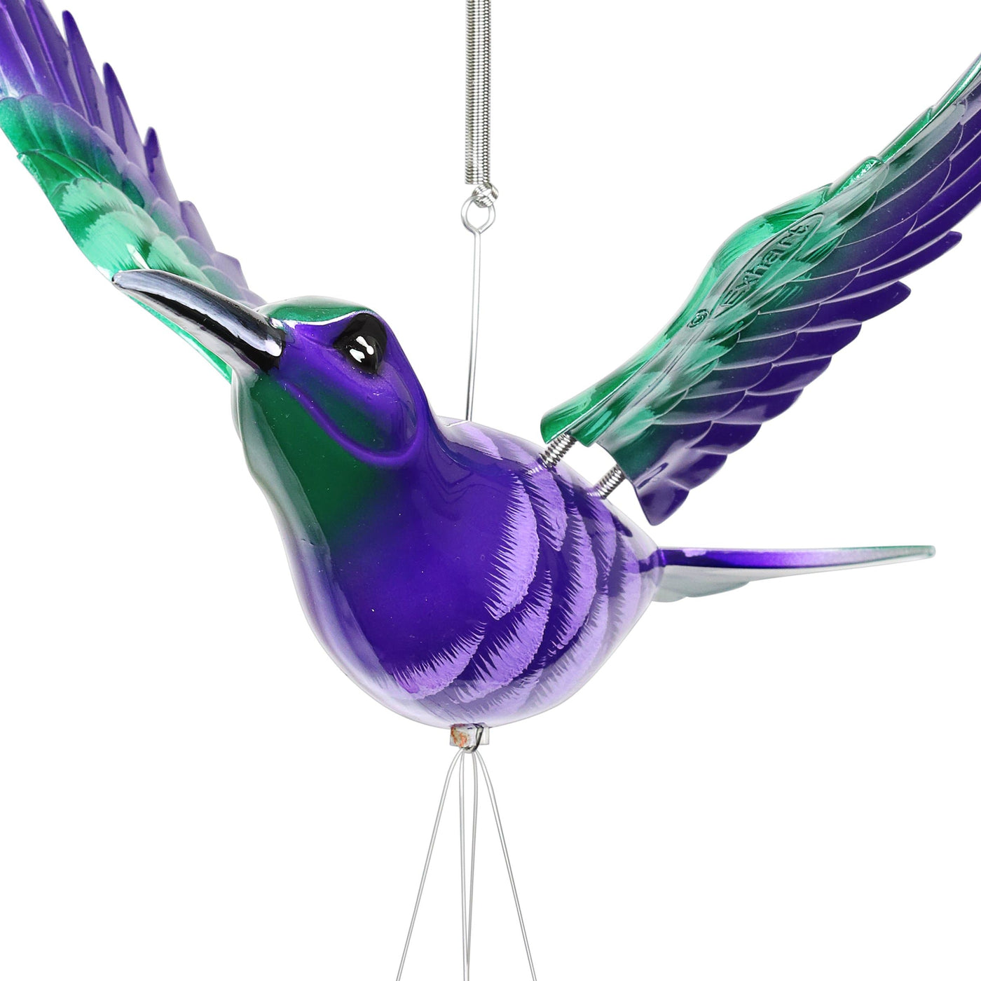 Little Wing Electron Hummingbird ヴァンヘイレン How I Photographed the Vervain Hummingbird — Anthony Lujan
