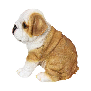 Hand Painted English Bulldog Puppy Statuary, 6 Inch | Shop Garden Decor by Exhart